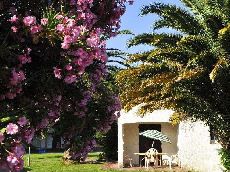 אלניה Hotel Le Domaine Du Mas Blanc By Popinns מראה חיצוני תמונה